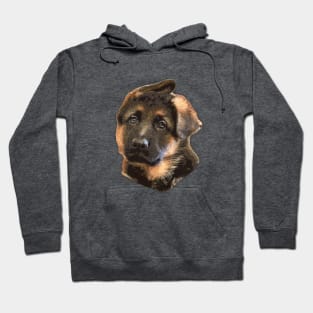 German Shepherd Puppy Dog Ears Hoodie